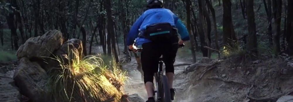 ¡Los 6 mejores senderos MTB para Rodar en Guadalajara!