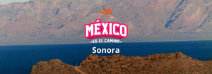 ¿Dónde Rodar en Sonora? | ¡México es el Camino!