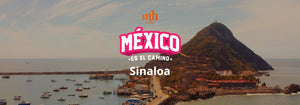 ¿Dónde rodar en Sinaloa? | ¡México es el Camino!