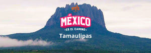 ¿Dónde Rodar en Tamaulipas? | ¡México es el Camino!